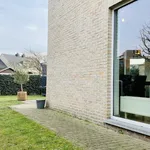 Rent 1 bedroom apartment in Hasselt