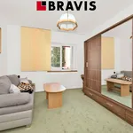 Rent 1 bedroom house of 408 m² in Brno