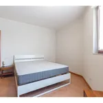 Rent 2 bedroom apartment of 68 m² in Milano