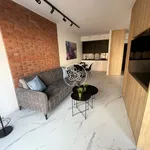 Rent 1 bedroom apartment of 41 m² in Toruń