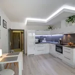 Rent 2 bedroom apartment of 57 m² in České Budějovice