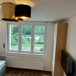 Rent 1 bedroom apartment in Jablonec nad Nisou