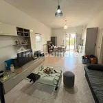 Rent 3 bedroom apartment of 70 m² in Rome