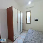 Rent 2 bedroom apartment of 50 m² in Cagliari