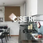 Rent 3 bedroom apartment of 110 m² in Milan