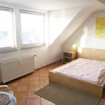 Rent 1 bedroom house of 25 m² in Cologne