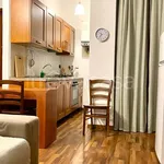 Rent 3 bedroom apartment of 90 m² in Torino