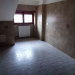 Rent 3 bedroom apartment of 80 m² in Rome