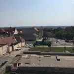 Rent 1 bedroom apartment of 22 m² in Pécs