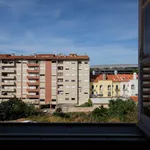 Rent 6 bedroom apartment in Coimbra