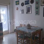 Rent 2 bedroom apartment of 60 m² in Ladispoli