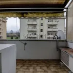 Rent 2 bedroom apartment of 50 m² in Pisa