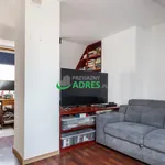 Rent 2 bedroom apartment of 50 m² in Wrocław