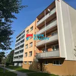 Pronájem bytu 1+1 43m²