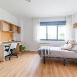 Rent a room in Logroño