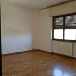 Affitto 6 camera appartamento di 180 m² in Latina