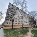 Rent 2 bedroom apartment of 62 m² in Székesfehérvár