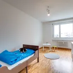 Miete 4 Schlafzimmer wohnung von 81 m² in Am Holz