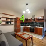 Rent 2 bedroom apartment of 51 m² in Prague