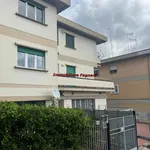 Rent 4 bedroom apartment of 129 m² in Roma