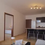 Pronajměte si 1 ložnic/e byt o rozloze 60 m² v Prague