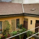 Rent 1 bedroom apartment in Milan