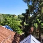 Rent 2 bedroom apartment of 43 m² in  DD-Weißig