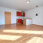 Pronájem 2+kk, 55 m², Písek - V Portyči