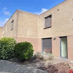 Rent 1 bedroom apartment in Mechelen