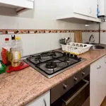 Rent 1 bedroom student apartment of 11 m² in Madrid