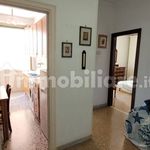 Rent 1 bedroom apartment of 55 m² in Rome