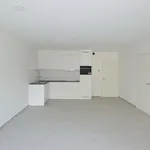 Rent 1 bedroom apartment in Mechelen