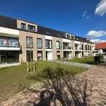 Rent 2 bedroom apartment in Bonheiden