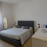 Affitto 4 camera appartamento di 65 m² in Grosseto