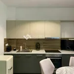 Rent 1 bedroom apartment of 43 m² in Athens