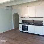 Rent 3 bedroom apartment of 70 m² in Pisa