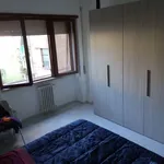 Rent a room of 65 m² in rome