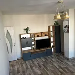 Rent 3 bedroom apartment of 70 m² in Каменица 2