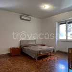 Rent 1 bedroom apartment of 45 m² in Roma