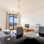 Rent 1 bedroom apartment of 85 m² in Funchal