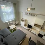 Rent 1 bedroom apartment of 25 m² in Capital City of Prague