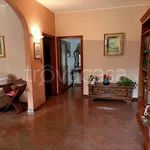 Rent 3 bedroom apartment of 18 m² in Ponte San Nicolò