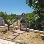 Rent 3 bedroom house of 100 m² in Trappeto