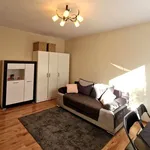 Rent 1 bedroom apartment of 27 m² in Łódź