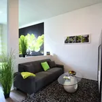 Rent 1 bedroom apartment of 44 m² in Raunheim