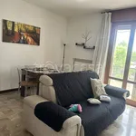 Rent 3 bedroom apartment of 100 m² in Padua