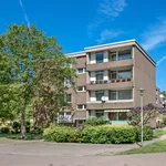 Rent 3 bedroom apartment of 74 m² in Monheim am Rhein