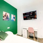 Rent 1 bedroom apartment in madrid