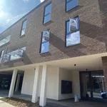 Rent 1 bedroom apartment in Aalst