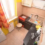 Rent 1 bedroom apartment of 33 m² in Timișoara